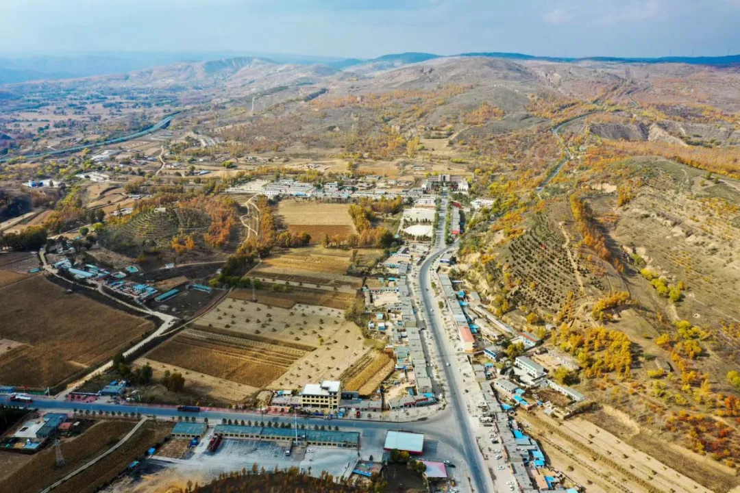 BC����(�й���)�ٷ���վ