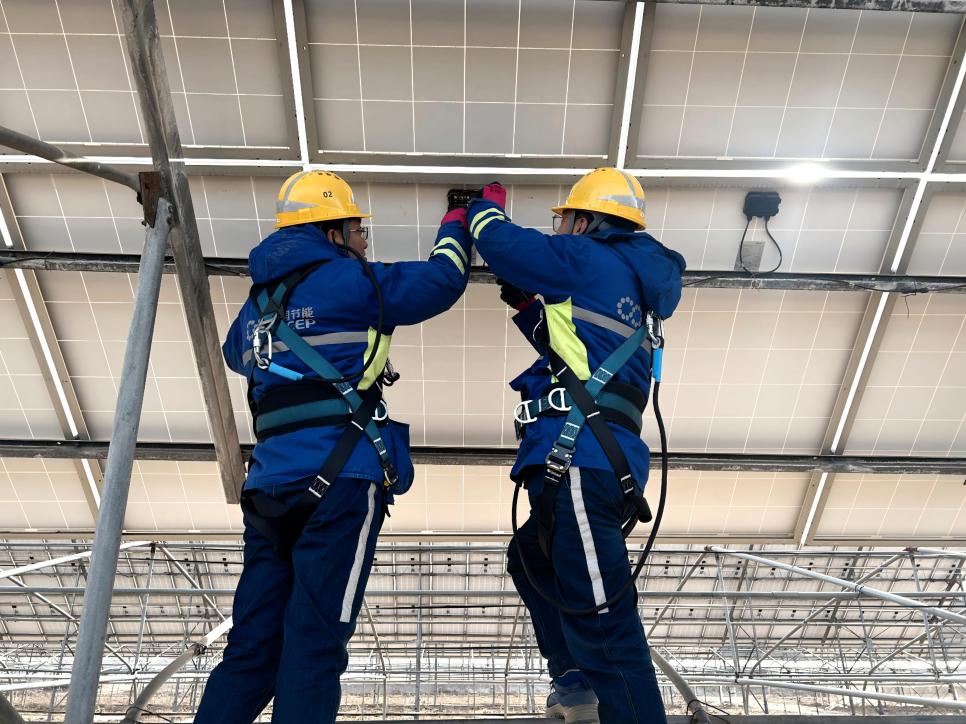 BC����(�й���)�ٷ���վ