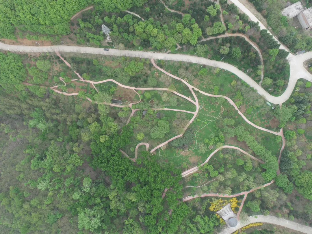 BC����(�й���)�ٷ���վ