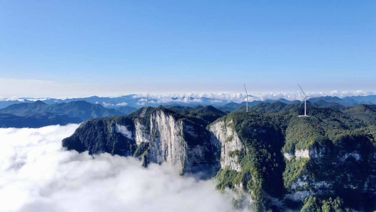 BC����(�й���)�ٷ���վ