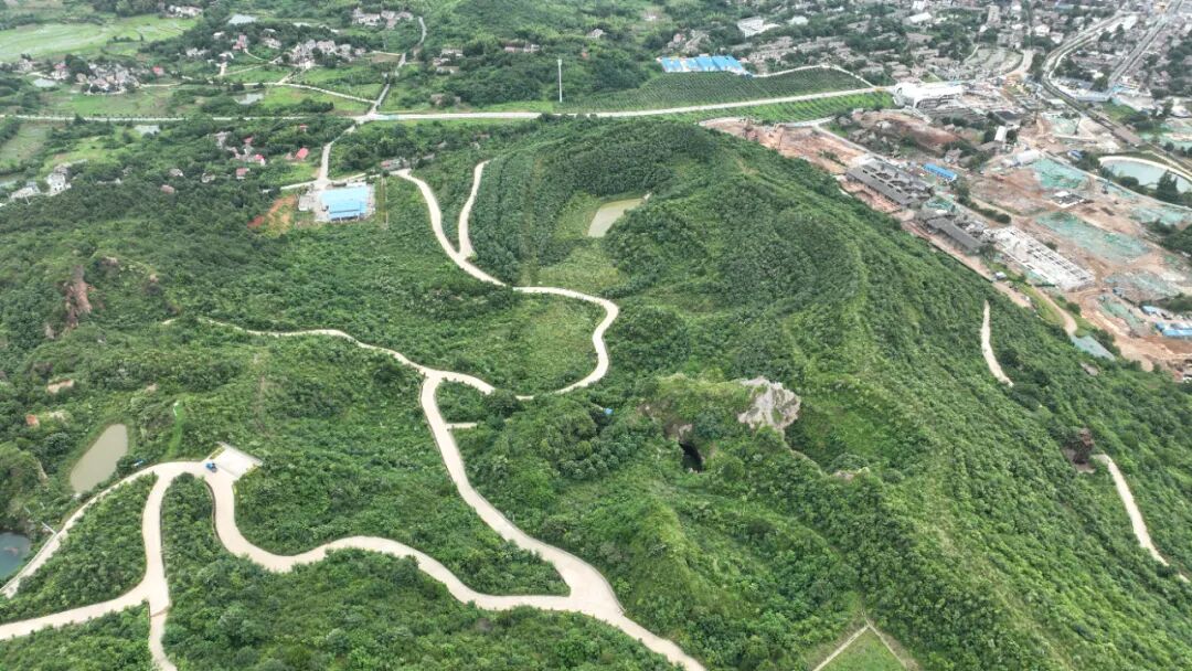 BC����(�й���)�ٷ���վ