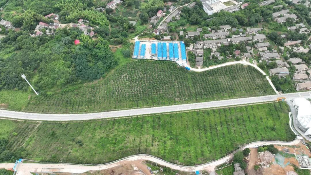 BC����(�й���)�ٷ���վ