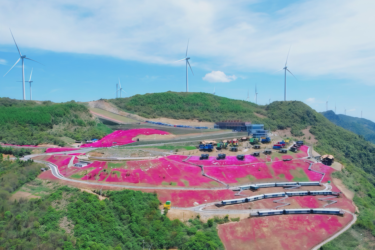 BC����(�й���)�ٷ���վ