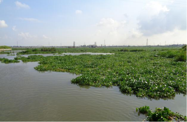 BC����(�й���)�ٷ���վ