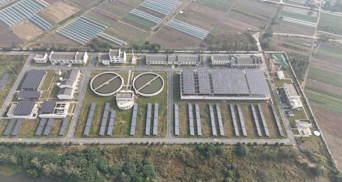 BC����(�й���)�ٷ���վ