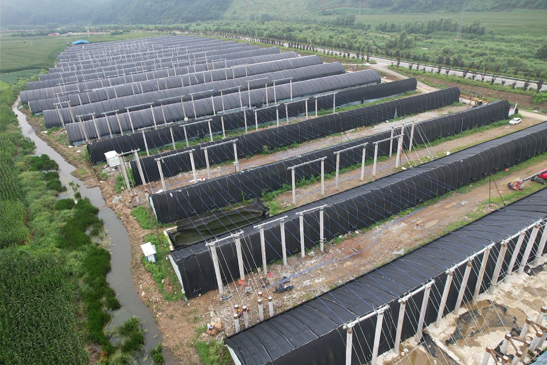 BC����(�й���)�ٷ���վ