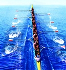 BC����(�й���)�ٷ���վ